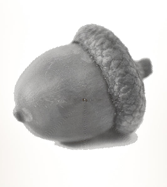 Individuelles 3D-Bild Standart (297 x 210)